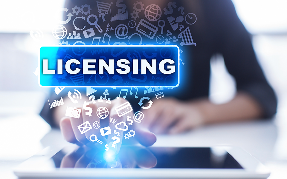 Software Licensing